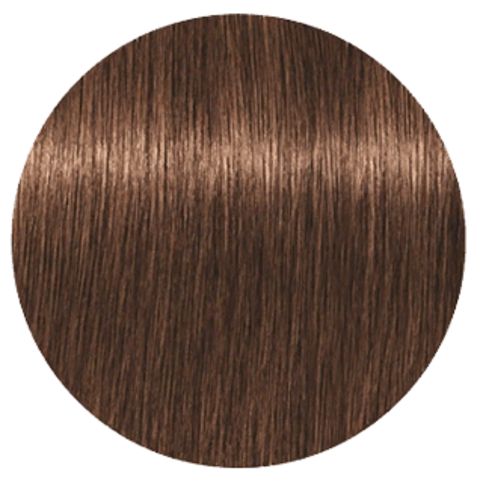 Schwarzkopf Igora Royal High Power Browns B-6 (Коричневый шоколадный) - Краска для волос