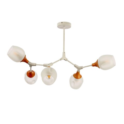 Светильник потолочный Evoluce Ciotolla SLE113502-05