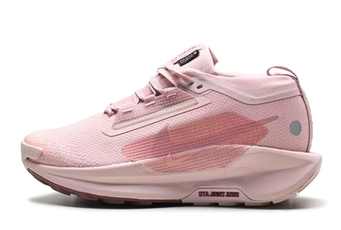 Nike Pegasus Trail 5 GORE TEX 'Pink Oxford' 