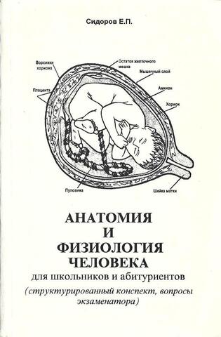 Анатомия и физиология человека для школьников и абитуриентов