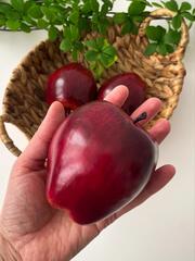 Яблоко БОРДОВОЕ, реалистичное, 8 см, муляж, пенопласт, набор 3 шт.