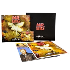 Mr. Big / What If… (Deluxe Edition)(LP+CD+DVD)