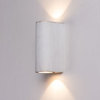 Уличный светильник Arte Lamp Doppio A3502AL-2WG