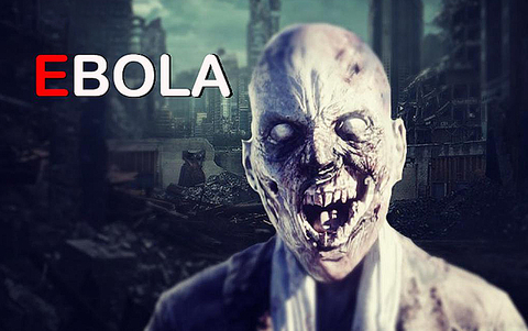 Ebola (для ПК, цифровой код доступа)