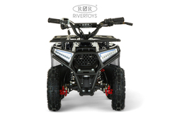 Детский электрический квадроцикл RiverToys MIKA 1000W