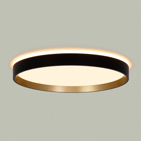 Потолочный светодиодный светильник Citilux Etalon CL750321R