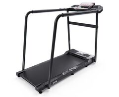 Беговая дорожка DFC Cora T165