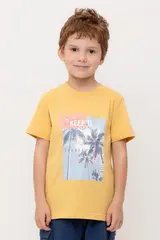 фуфайка  для мальчика  КР 302751-1/золотистая пшеница к566