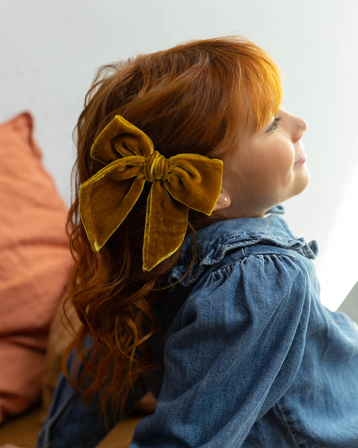 Бархатный бант JOZEPHINE