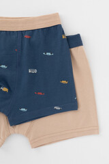 трусы/ уп  для мальчика  К 1980-2уп/бежевый,грозовая туча,транспорт