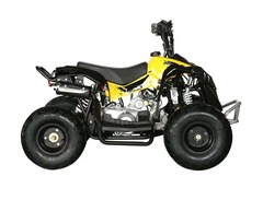 Детский бензиновый квадроцикл MOTAX ATV CAT 50cc с электростартером