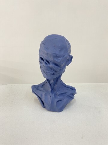 Deformation. Bust #6