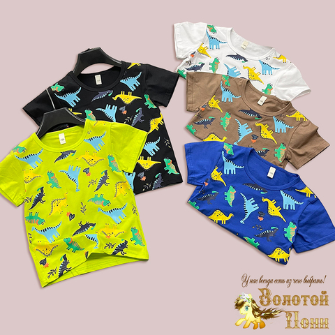 Футболка хлопок м (1-5) 250320-DF4079