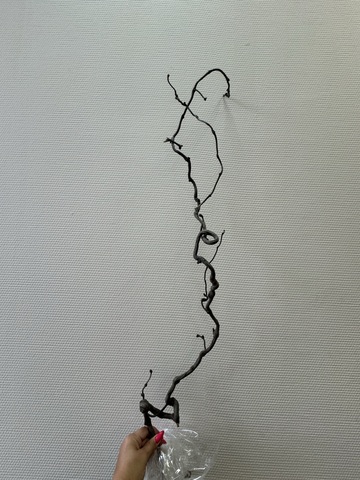 Корилус Ветки коряги волнистые натуральные для декора (M-размер - 1 шт)