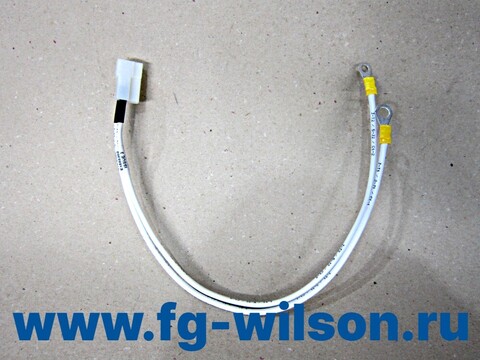 Проводка / HARNESS ASSY(charging alternator harness ) АРТ: 10000-61702