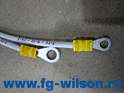 Проводка / HARNESS ASSY(charging alternator harness ) АРТ: 10000-61702