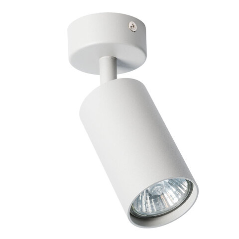 Светильник потолочный Arte Lamp Aquarius A3216PL-1GY
