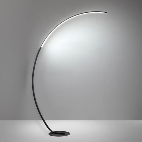 Торшер светодиодный Lumion WES 5676/21FL