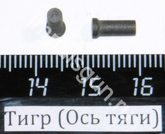 Тигр