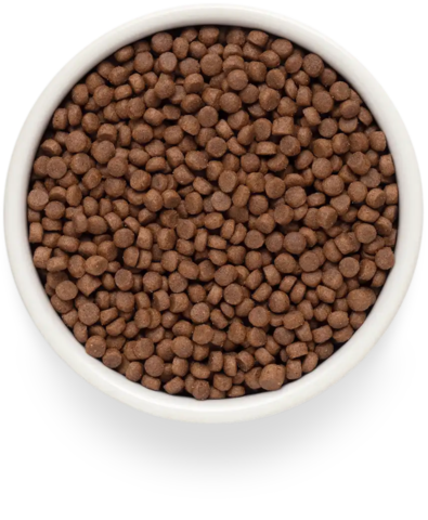 PREMIER Свежее мясо ягненка с индейкой для взрослых кошек