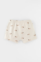 трусы/ уп  для мальчика  К 1912-2уп/песок,бежевый,таксы