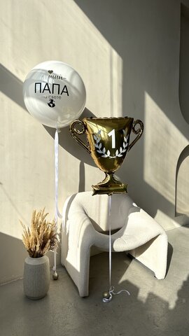 Шары для папы №8