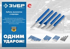 ЗУБР 6 предметов, набор шестигранных выколоток в чехле, Профессионал (21070-H6)