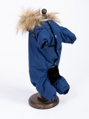 Royal Dog зимний костюм Королевский синий S