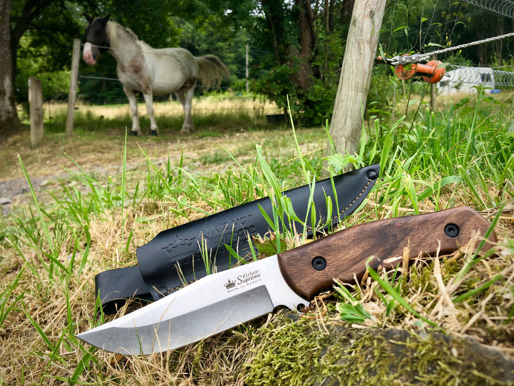 Видео секс порно 5 6 адам