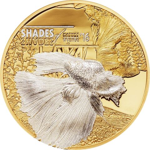 Острова Кука 2016, 5 долларов, серебро с позолотой. Оттенки природы, бойцовая рыбка