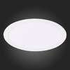 Светильник настенно-потолочный ST Luce ST112.532.24