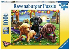 Puzzle Puppy Picnic 100 pcs