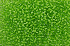 Бисер 8/0 PRECIOSA, 50г, зелёный