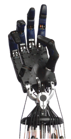 Робот Shadow Robot Company Shadow Hand