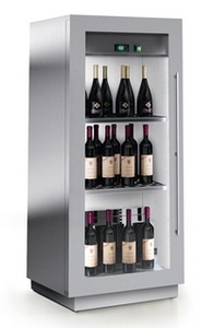 Винный шкаф Enofrigo MIAMI MINI RF T (A1MIAMIMINIP/421) черный