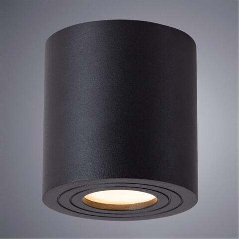 Накладной светильник Arte Lamp GALOPIN A1460PL-1BK