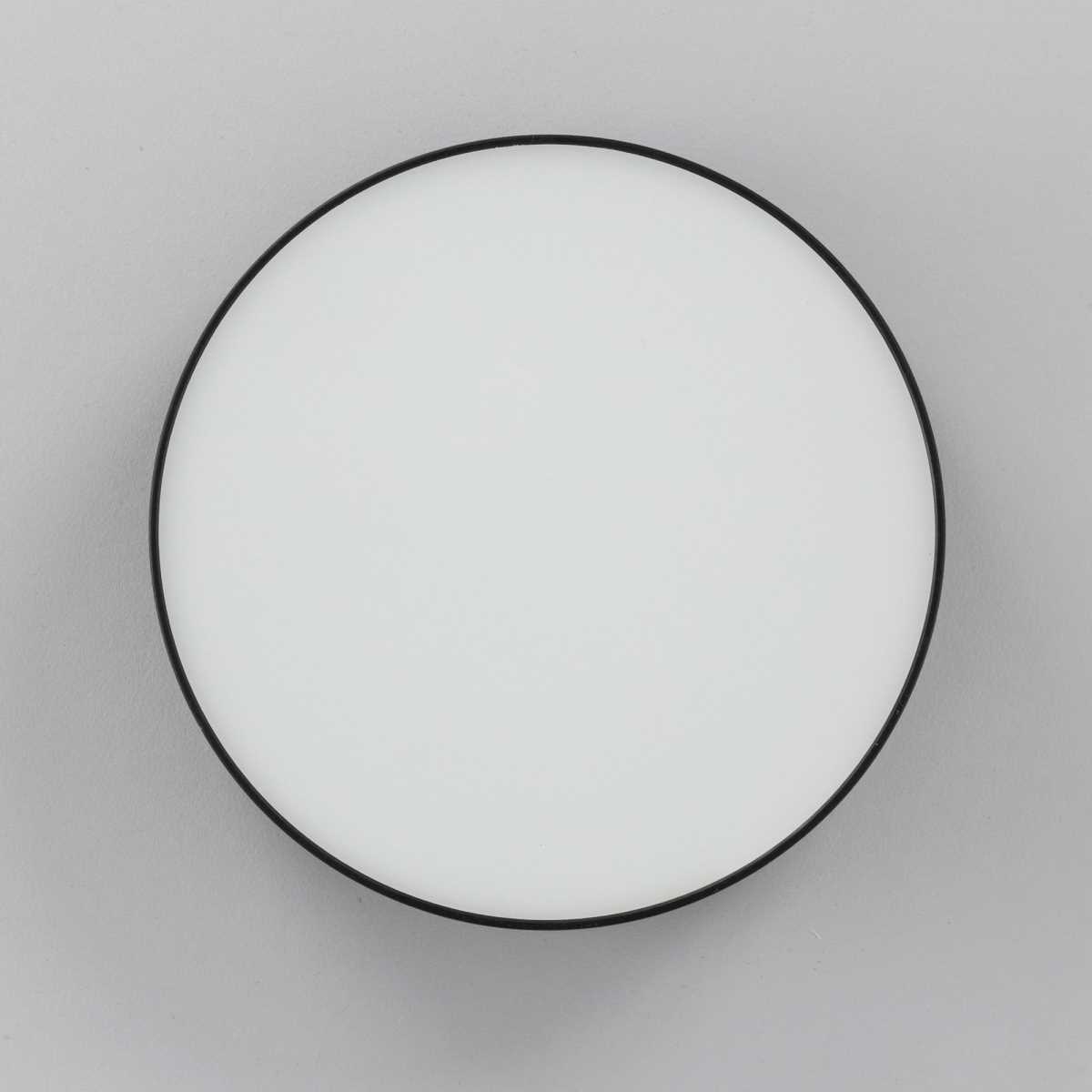 Накладной светодиодный светильник Citilux Тао CL712122N