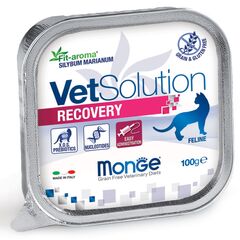 Влажный корм диетический Monge VetSolution Cat Recovery Рекавери для кошек при восстановлении питания в период выздоровления 100 г - 24 шт