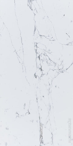 Pamesa At Venlo Blanco Rect. 60x120