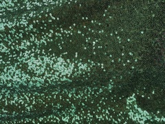 Пайетки на сетке 