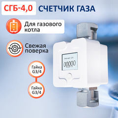 Счетчик газа СГБ-4,0 Г-Г/белый