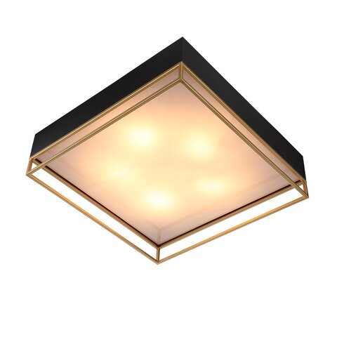 Светильник потолочный ST Luce Chodo SL1127.422.05
