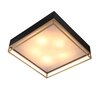 Светильник потолочный ST Luce Chodo SL1127.422.05