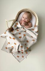 Плед вязаный Simple (корги)