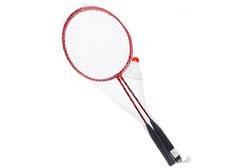 Бадминтон в Сетке + Воланчик