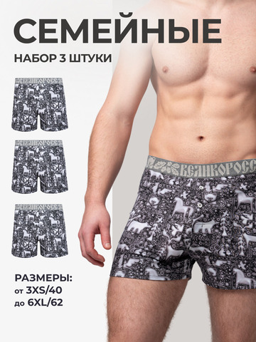 Комплект из 3-х семейных трусов - «Ночная тайга»