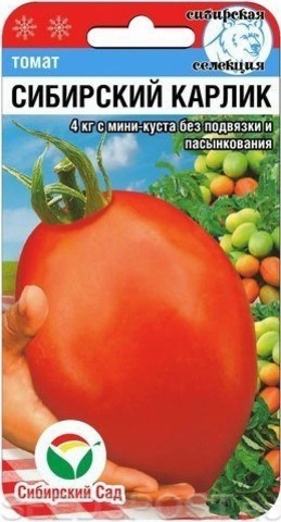 Рейтинг ТОП-10: лучших низкорослых и высокорослых сортов томатов