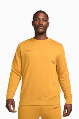 Кофта Nike PSG 23/24 Club
