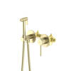 Aquatek AQ1319BG AQ1319BG ЕВРОПА комплект для гигиенического душа встроенный 2 отв. (смеситель + гигиеническая лейка + шланг), шлиф. золото