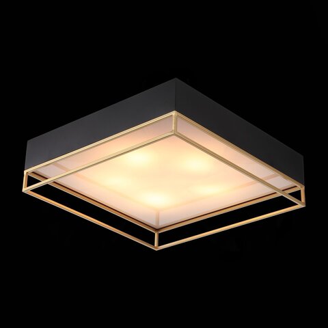 Светильник потолочный ST Luce Chodo SL1127.422.05